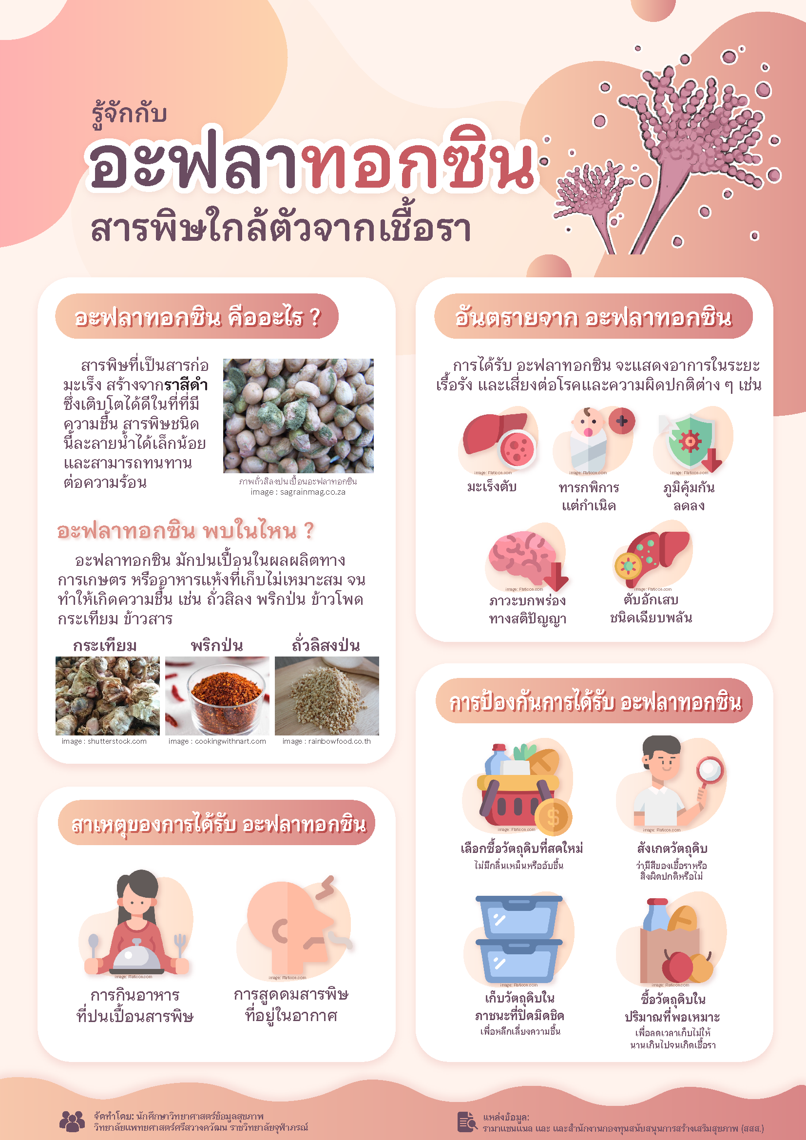 งานกลุ่มวิชา CHHD308: Clinical Microbiology  (วิชาตอนปี 3)